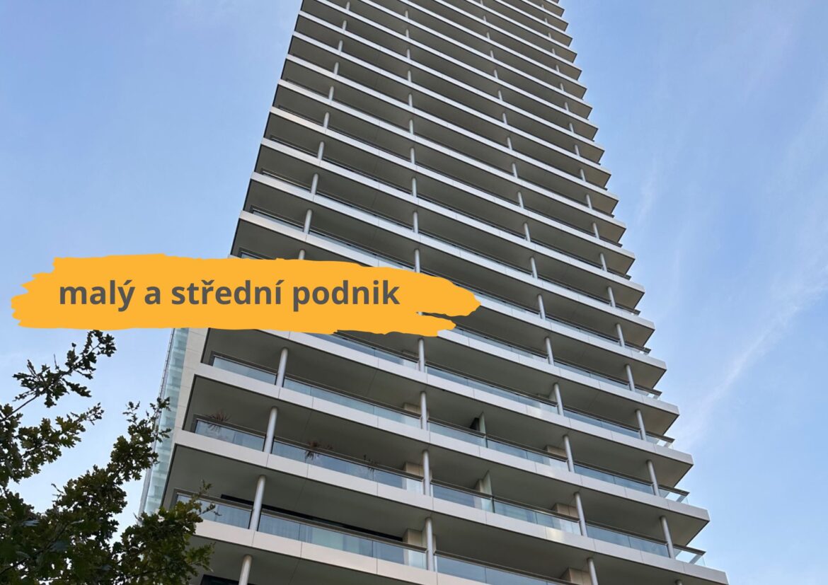 Malý a střední podnik