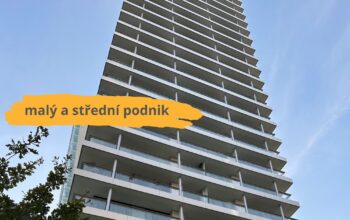 Malý a střední podnik