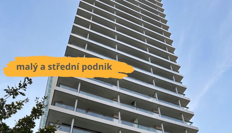 Malý a střední podnik