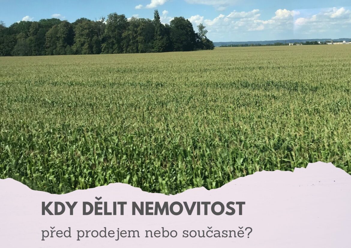 Prodej části nemovitosti | Kdy a jak oddělit?